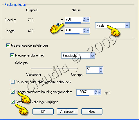Formaat wijzigen